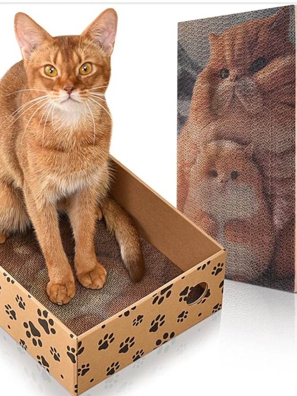 Cat Scratcher with Box for Indoor Cats, Cardboard Cat Scratching Board🐱